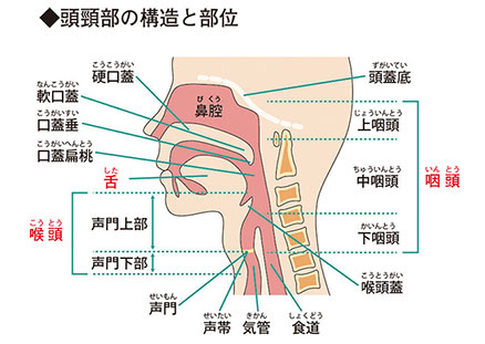 生活の質を保つ頭頸部がんの最新治療